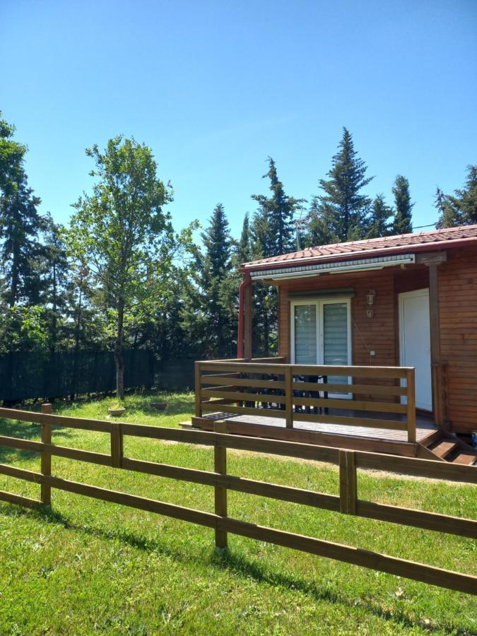 Chalet 4 Personnes Montolieu Dış mekan fotoğraf